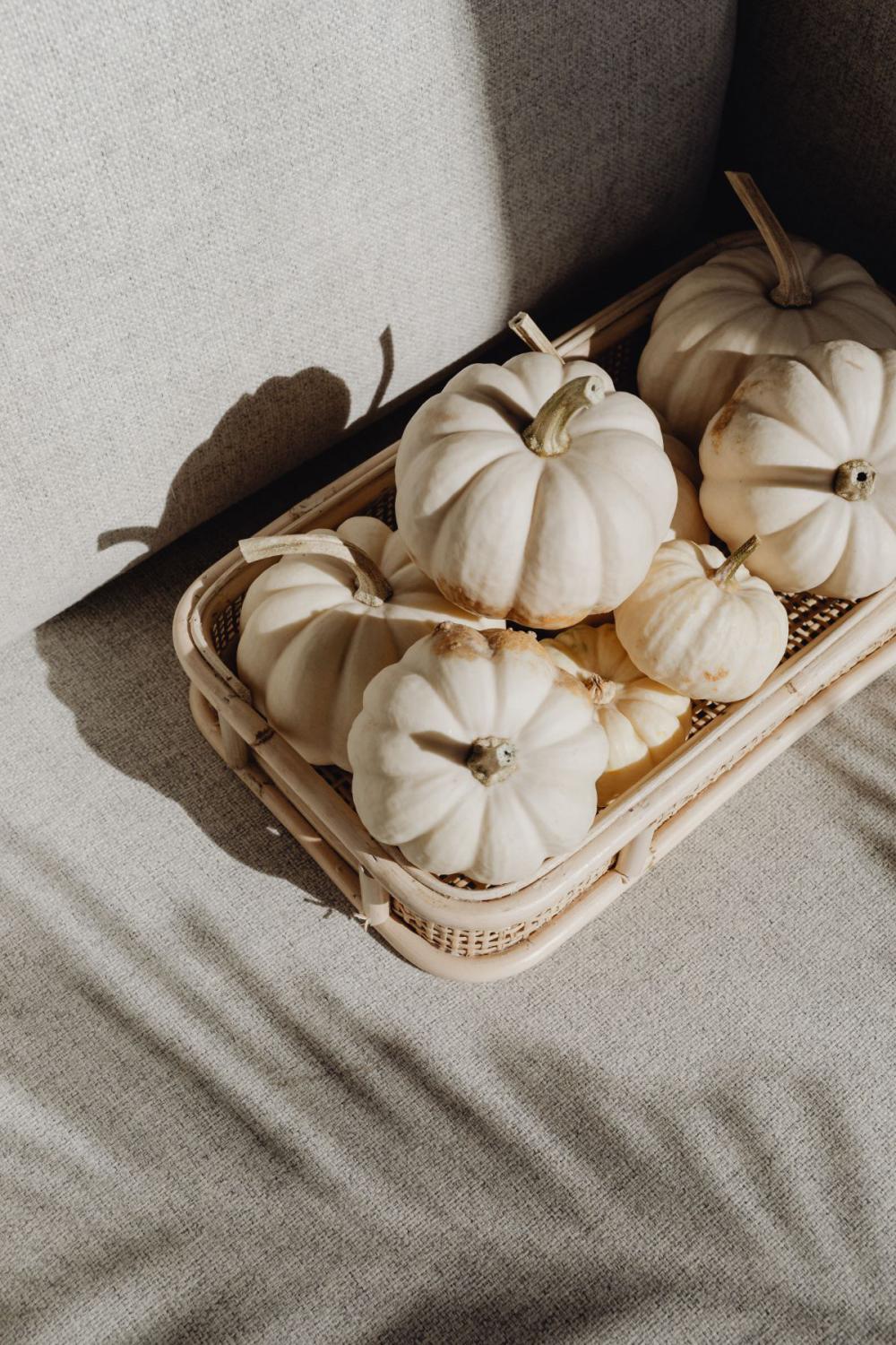 Autumn aesthetic Autumn aesthetic