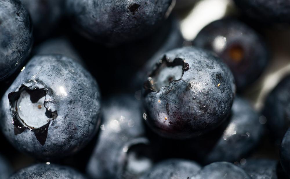 Macro Perspective Of Ripe Blueberries Photo Macro Perspective Of Ripe Blueberries Photo
