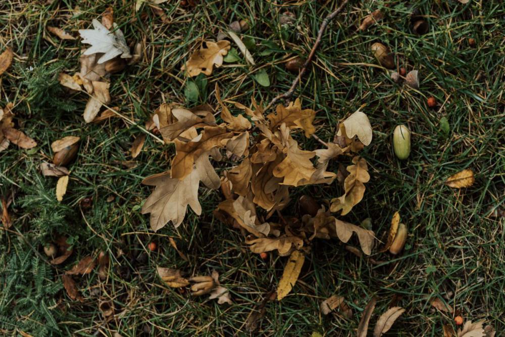 Autumn backgrounds and wallpapers Autumn backgrounds and wallpapers
