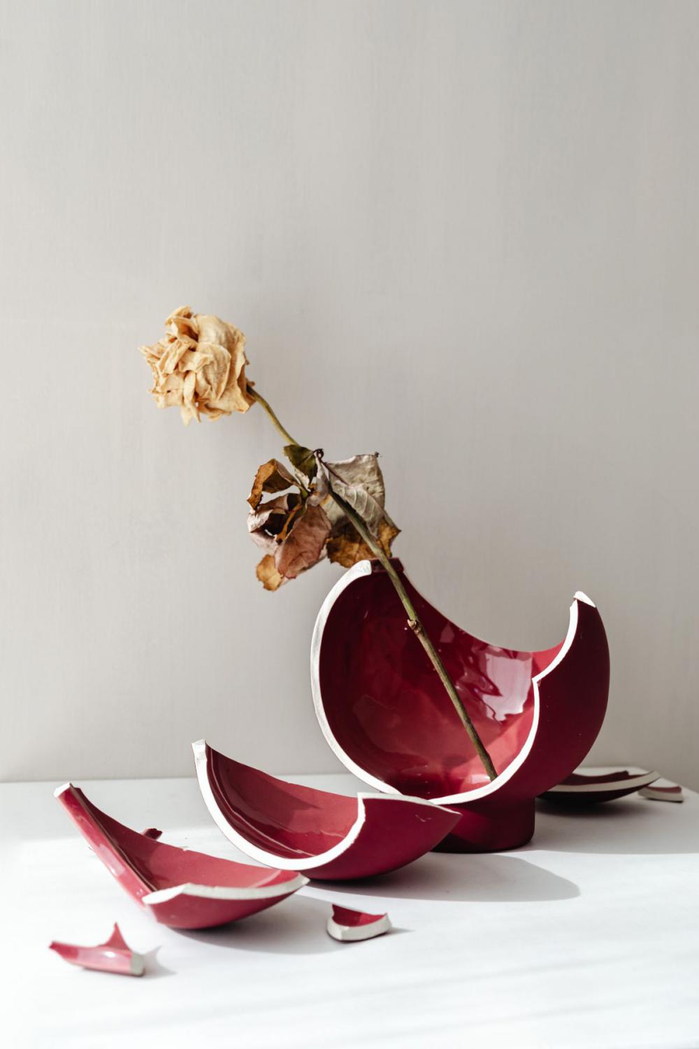 Minimalist Still Life - Neutral Aesthetic Backgrounds Minimalist Still Life - Neutral Aesthetic Backgrounds