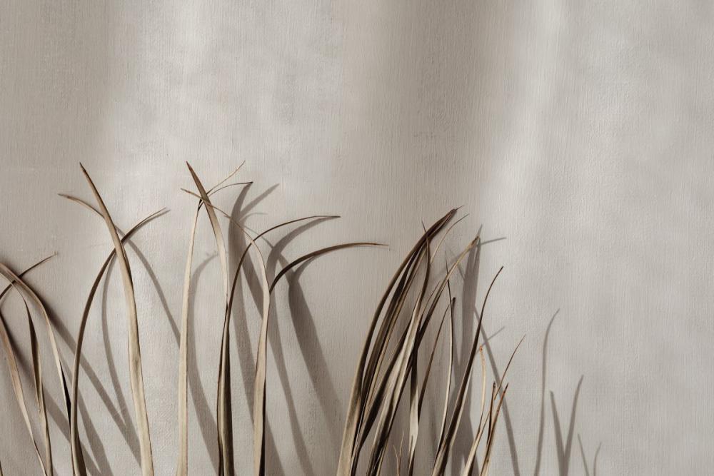 Minimalist Still Life - Neutral Aesthetic Backgrounds Minimalist Still Life - Neutral Aesthetic Backgrounds