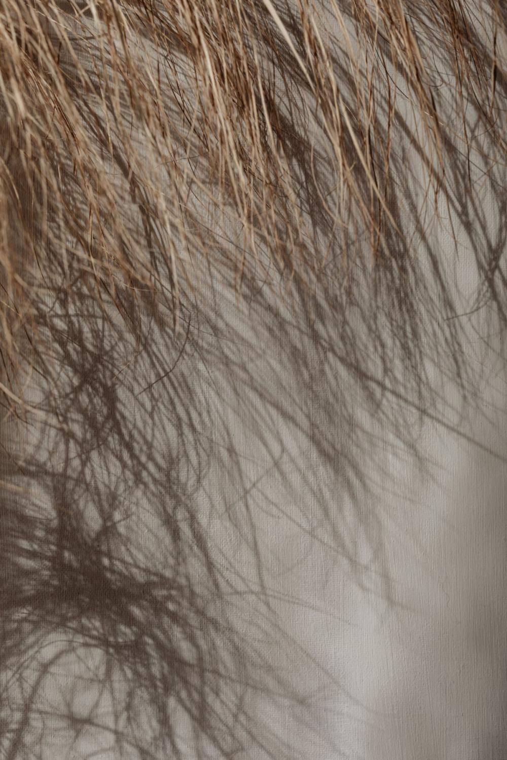 Minimalist Still Life - Neutral Aesthetic Backgrounds Minimalist Still Life - Neutral Aesthetic Backgrounds