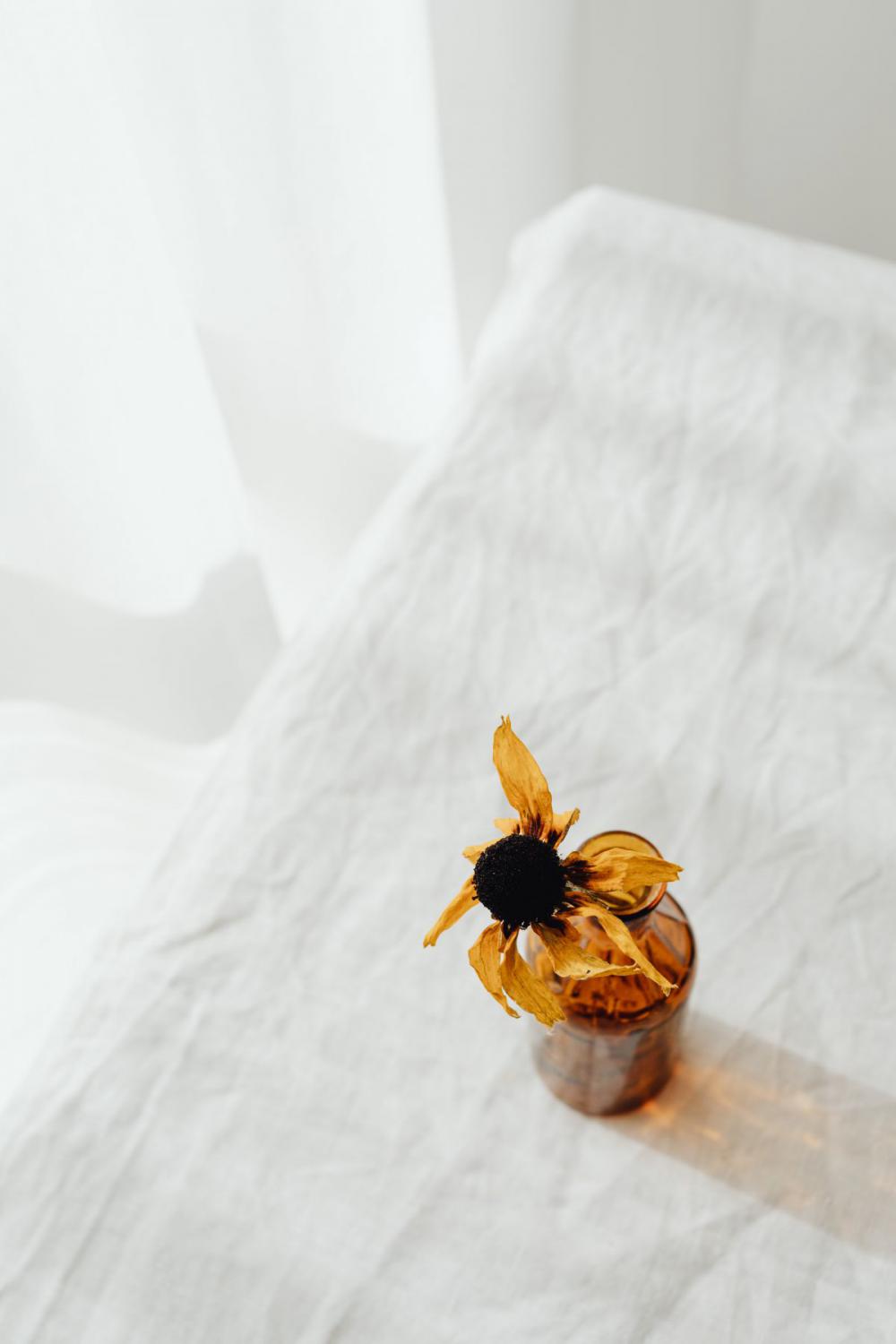 Dried flowers and small vases Dried flowers and small vases