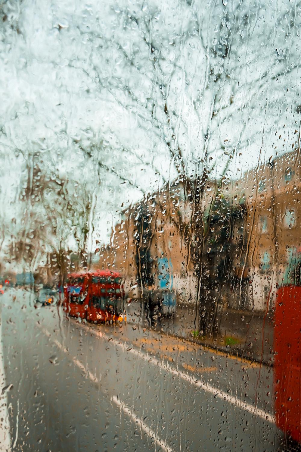 Buses under the rain Buses under the rain