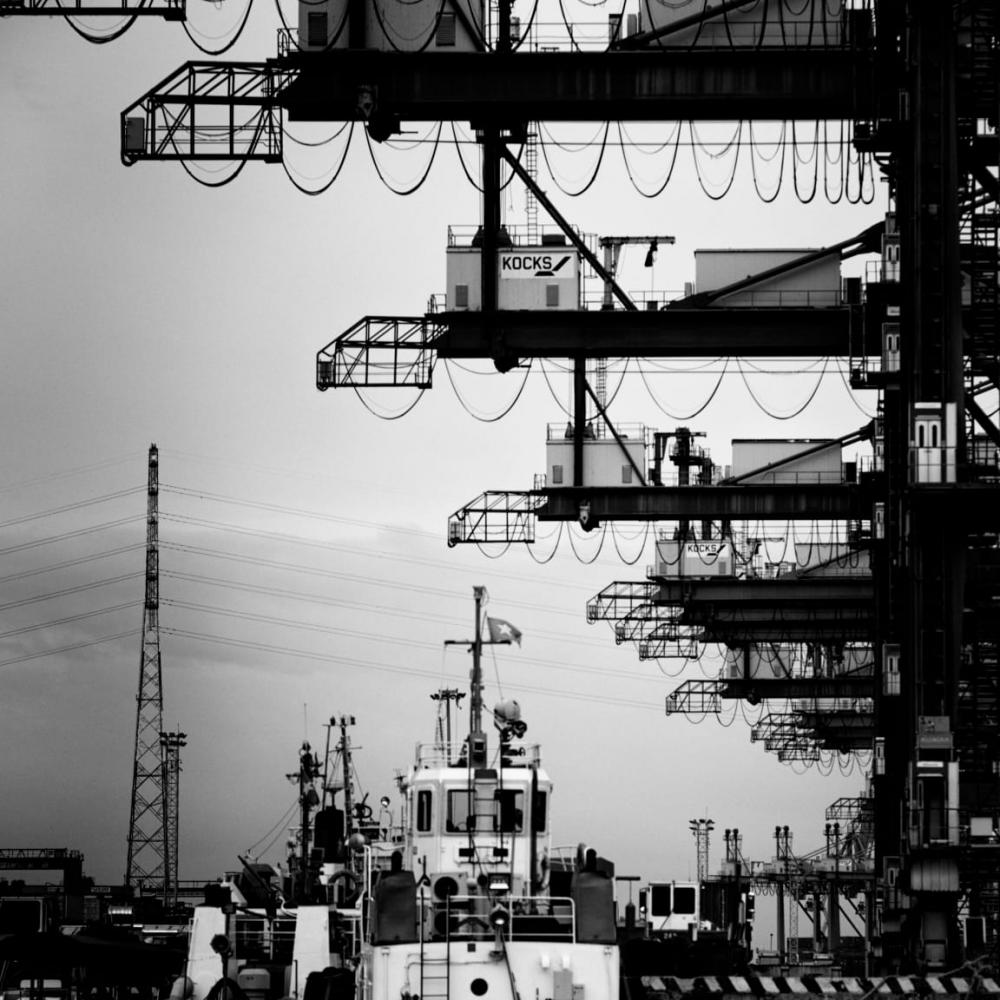 The Cranes The Cranes