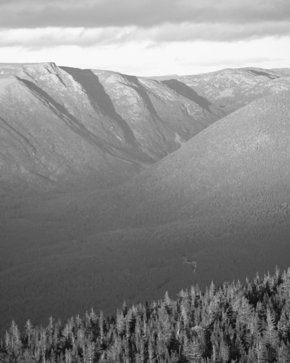Dark layers Dark layers