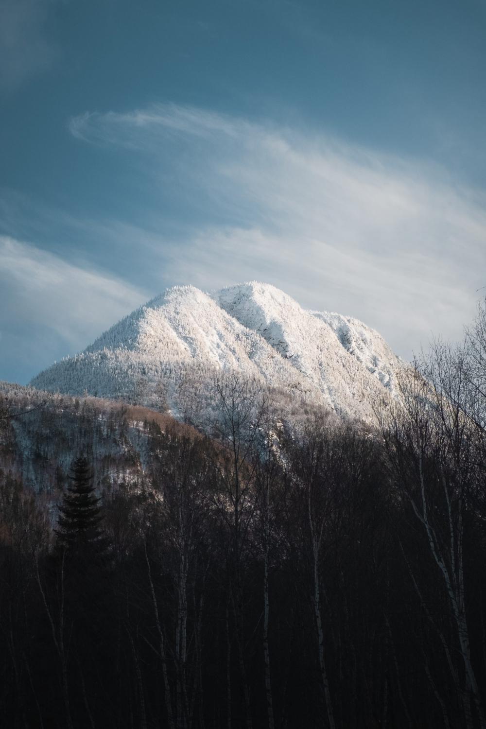 White summit White summit