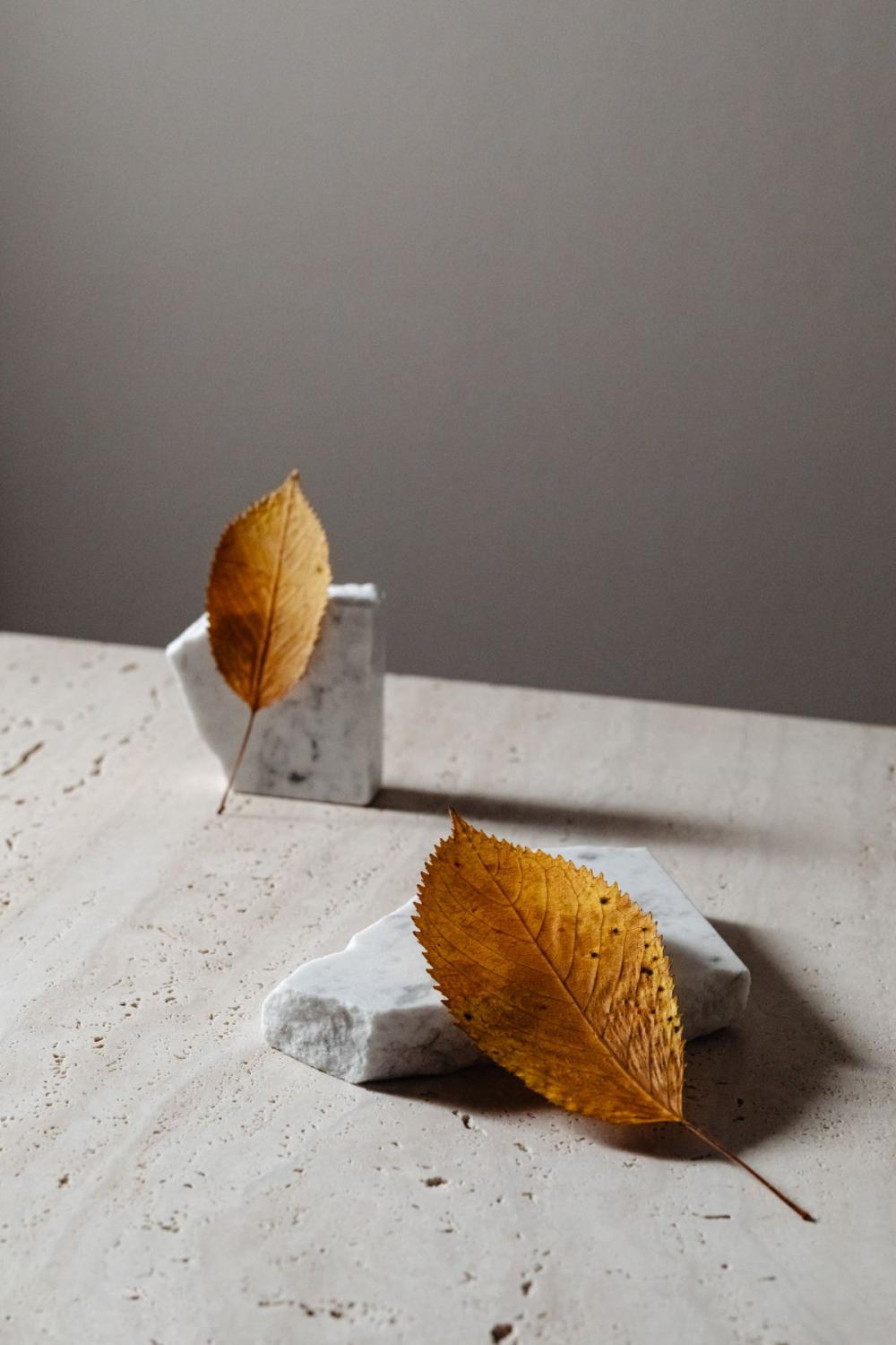Dried leaves - abstract background - wallpaper Dried leaves - abstract background - wallpaper