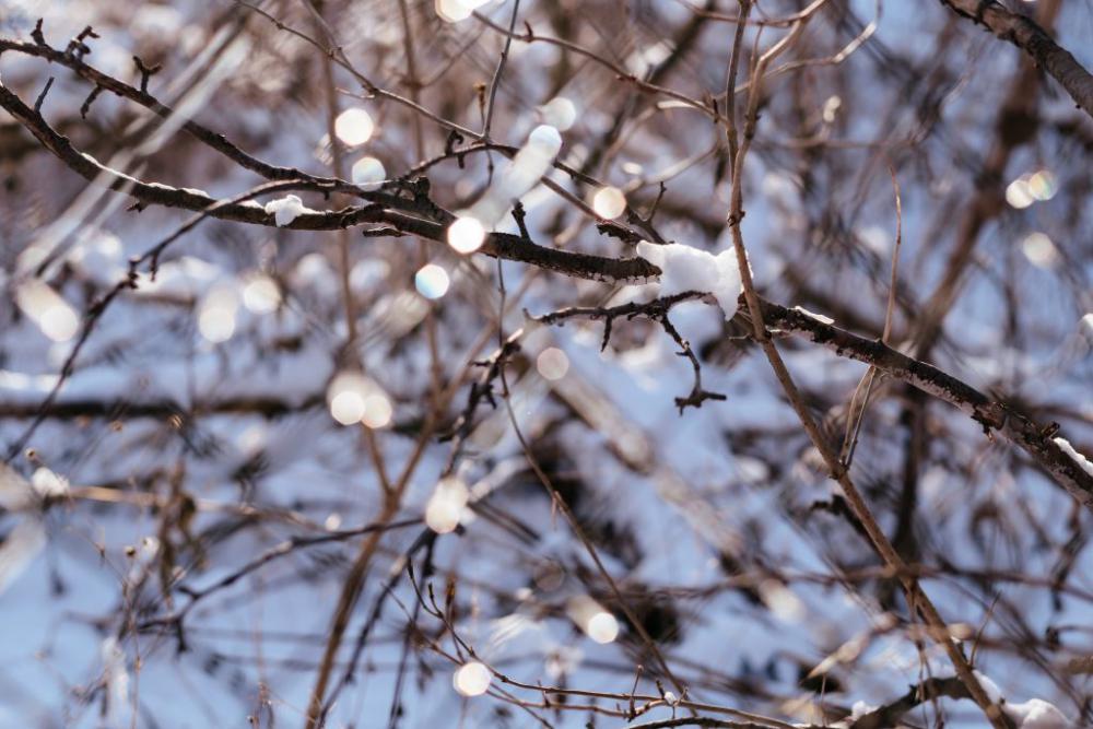 Ice bokeh on a sunny winter afternoon Ice bokeh on a sunny winter afternoon