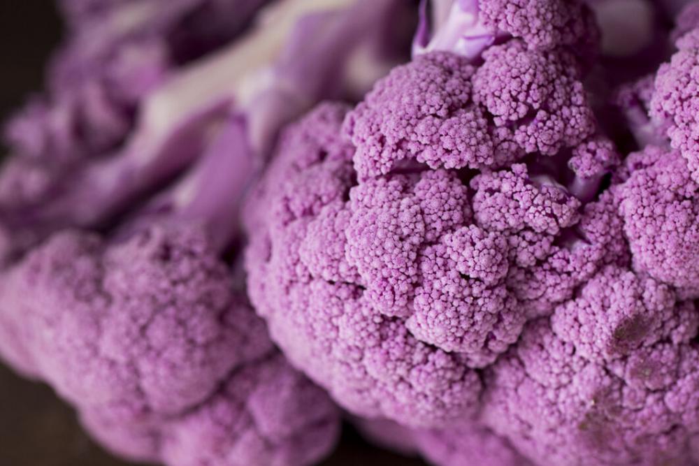 Cauliflower Food Background No Cost Stock Image Cauliflower Food Background No Cost Stock Image