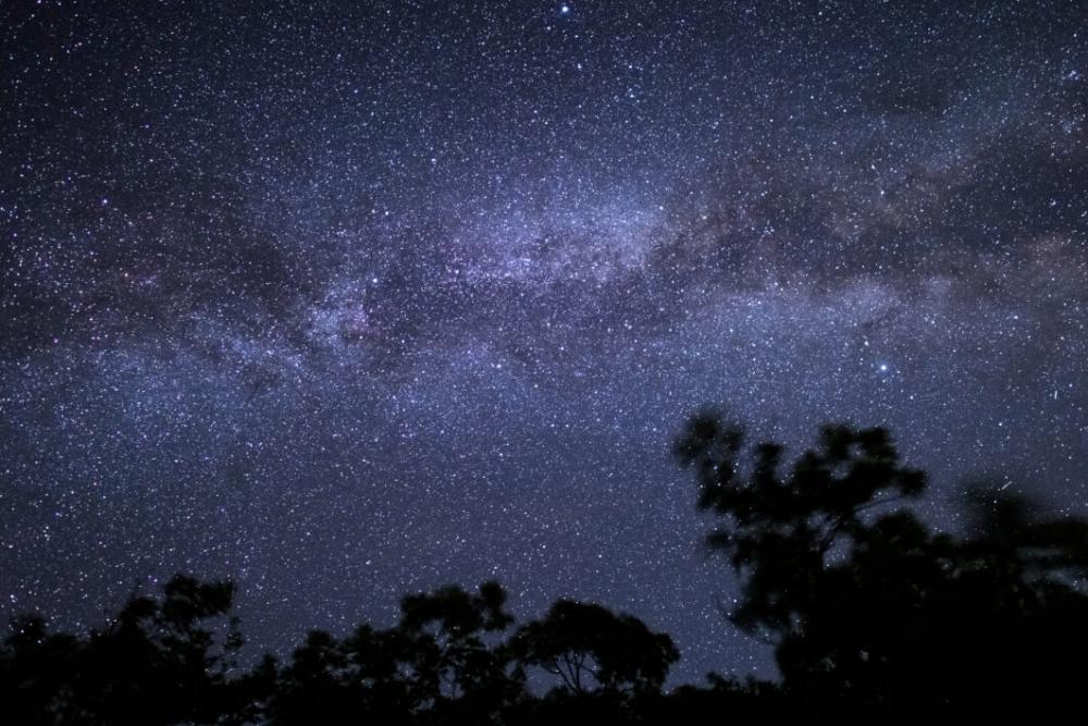 Tree Night Starry No Cost Stock Image Tree Night Starry No Cost Stock Image