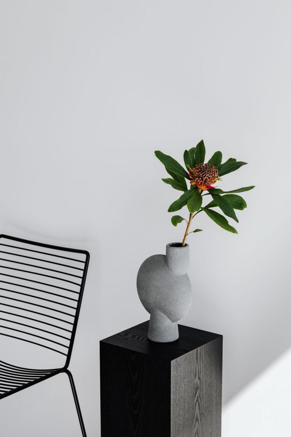 Concept photos - flowers - vase - minimalist interior Concept photos - flowers - vase - minimalist interior