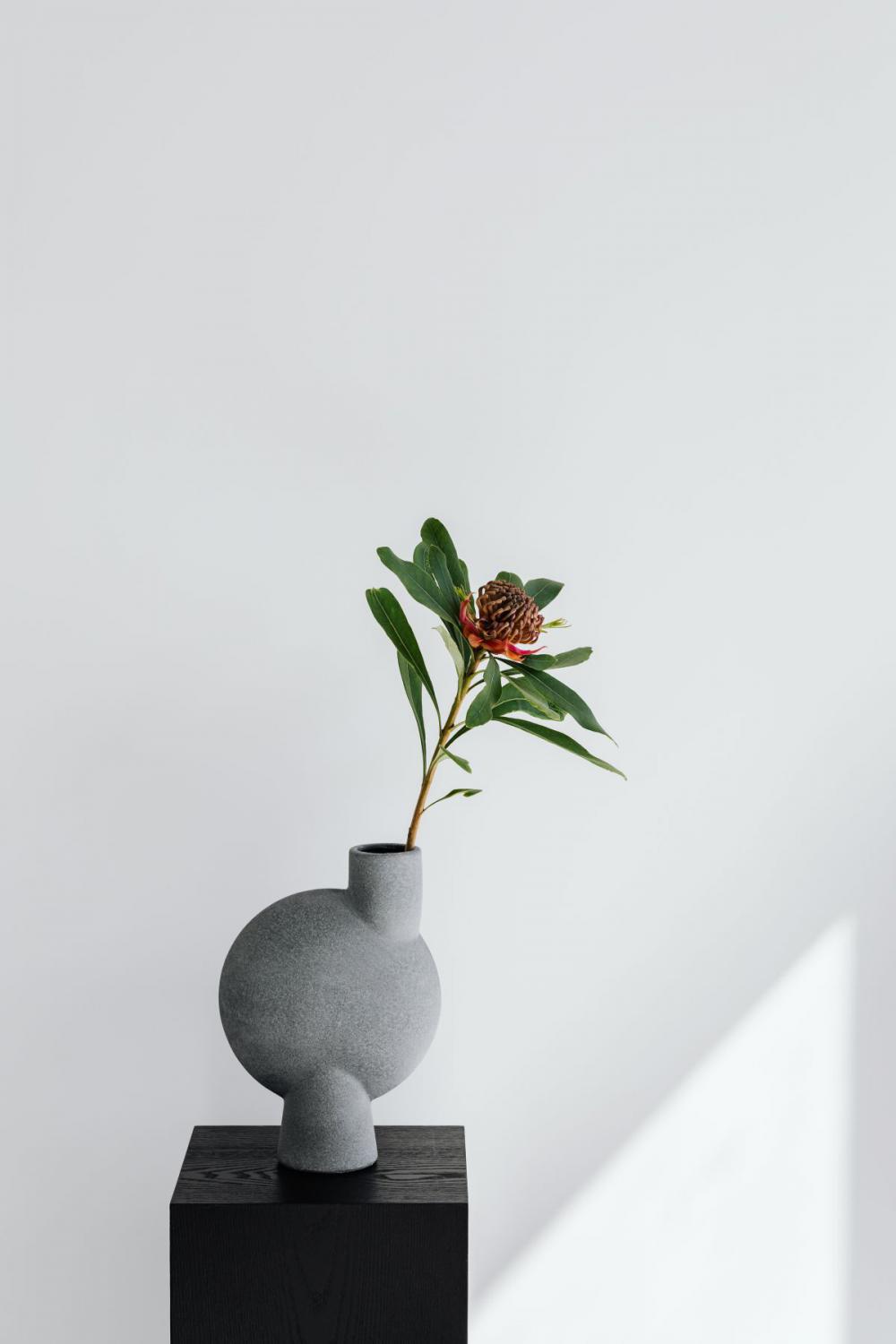 Concept photos - flowers - vase - minimalist interior Concept photos - flowers - vase - minimalist interior