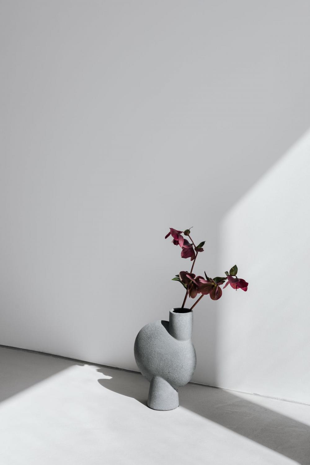 Concept photos - flowers - vase - minimalist interior Concept photos - flowers - vase - minimalist interior