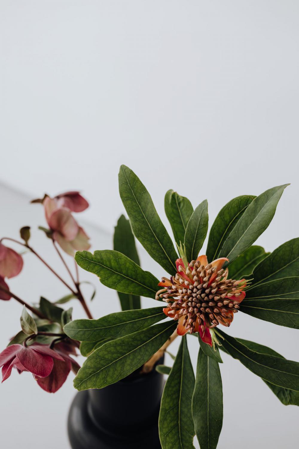 Concept photos - flowers - vase - minimalist interior Concept photos - flowers - vase - minimalist interior