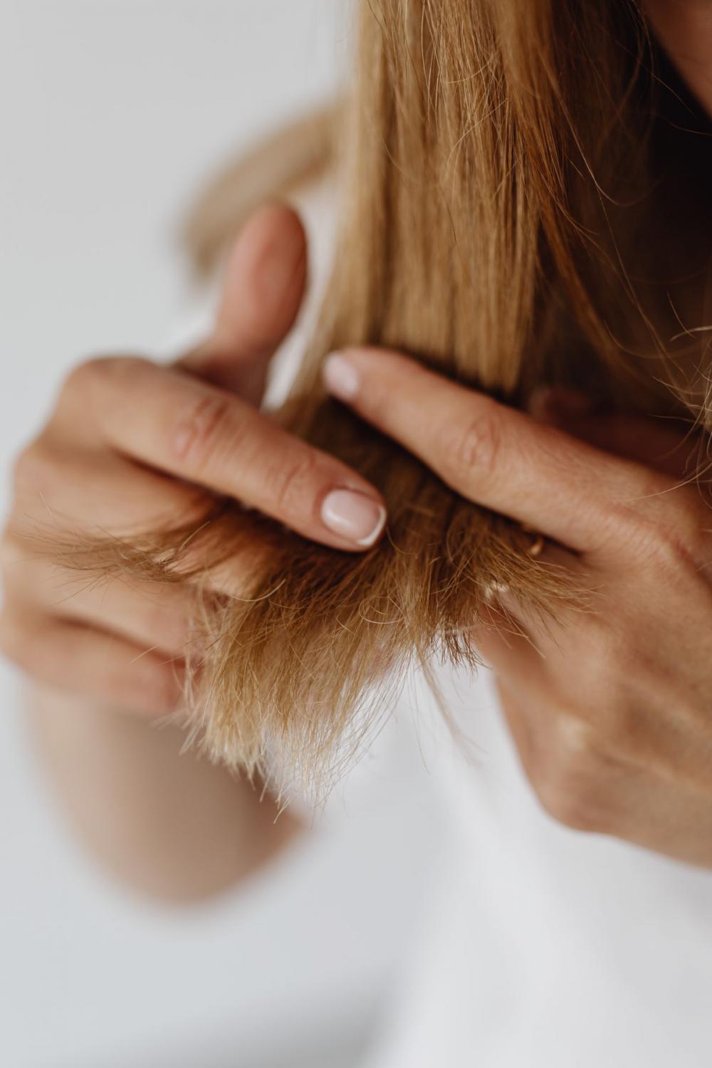 Brushing hair and making hairstyles - hair care Brushing hair and making hairstyles - hair care