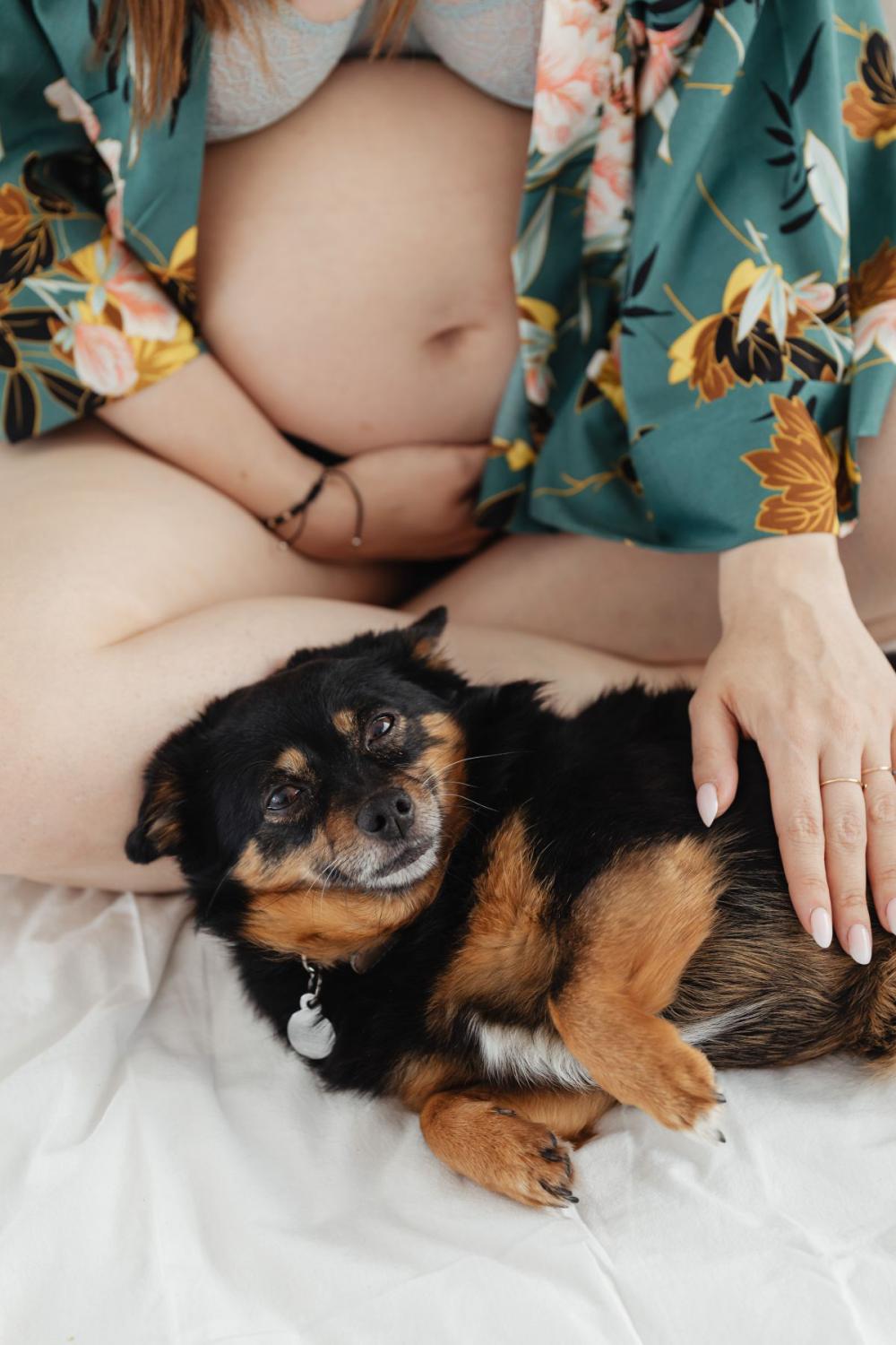 Pregnant woman - young mother - preparing for motherhood Pregnant woman - young mother - preparing for motherhood