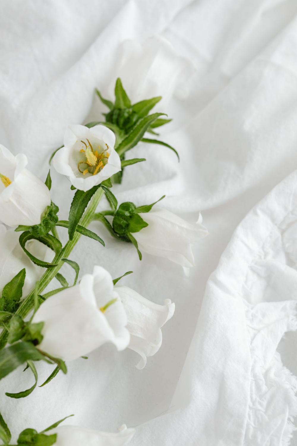Mockup photo - white bedding - flowers - blank sheet - square Mockup photo - white bedding - flowers - blank sheet - square