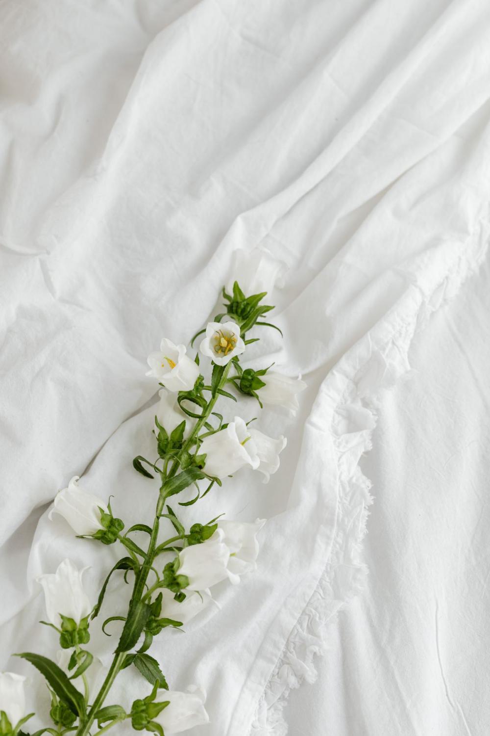 Mockup photo - white bedding - flowers - blank sheet - square Mockup photo - white bedding - flowers - blank sheet - square