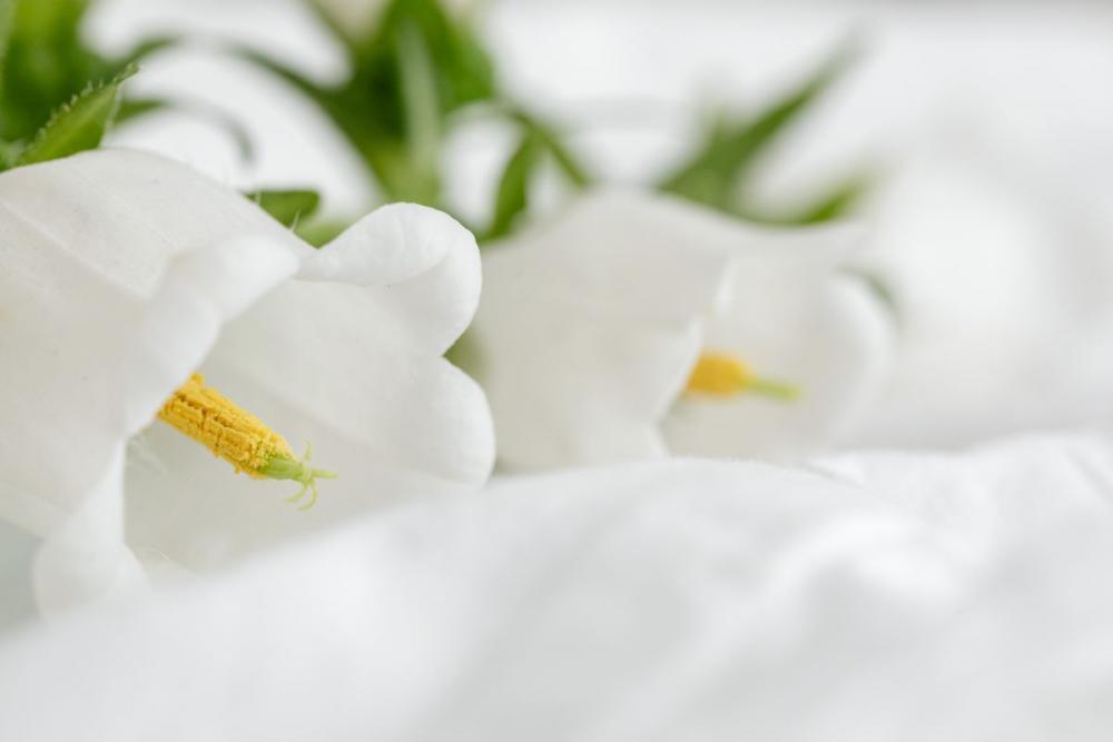 Mockup photo - white bedding - flowers - blank sheet - square Mockup photo - white bedding - flowers - blank sheet - square