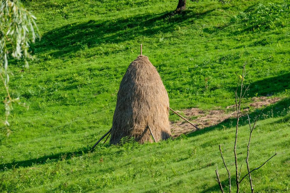 Haystack Haystack