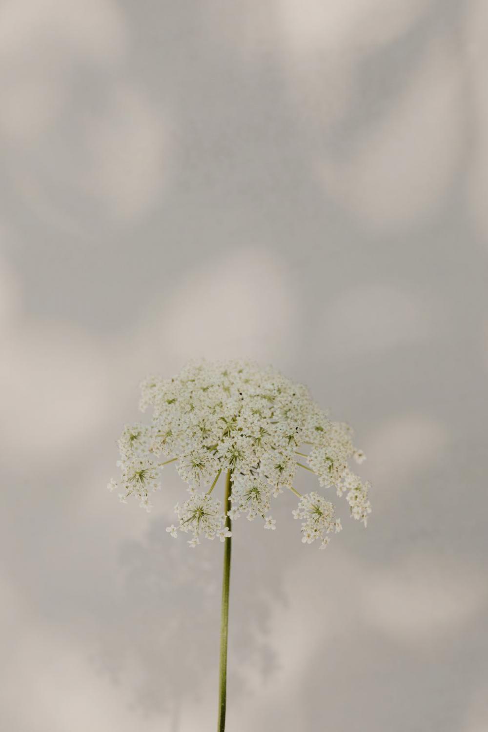 Bright and warm free backgrounds or wallpapers Bright and warm free backgrounds or wallpapers