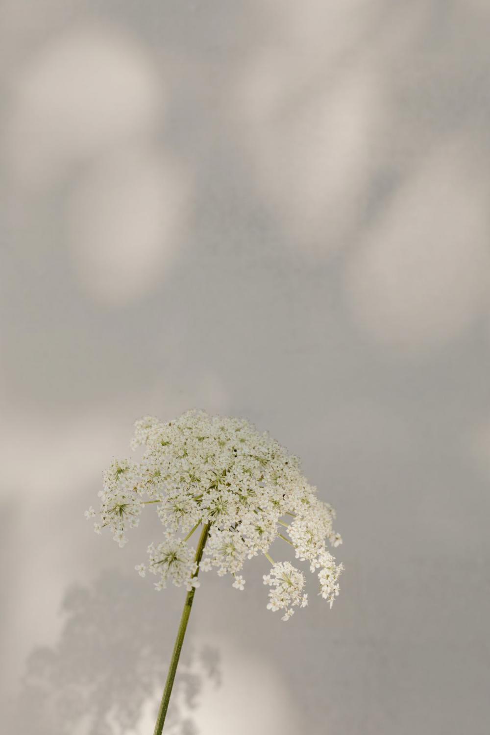 Bright and warm free backgrounds or wallpapers Bright and warm free backgrounds or wallpapers