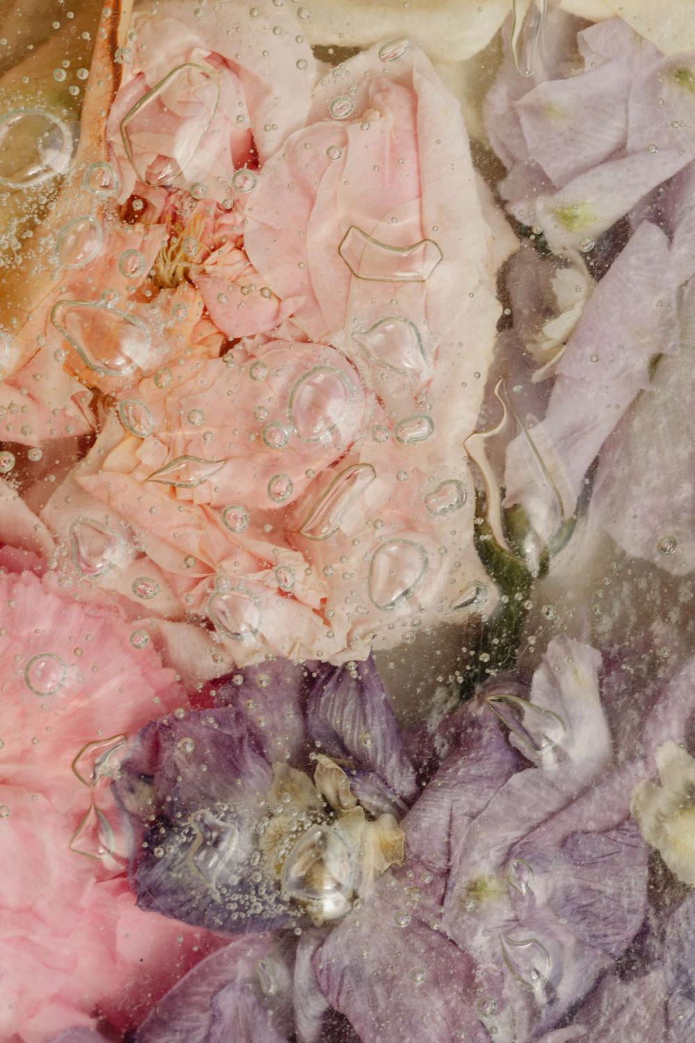 56 background free photos - flowers - glass - wallpaper 56 background free photos - flowers - glass - wallpaper