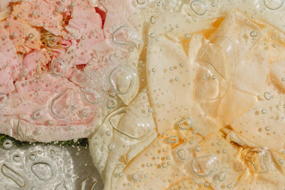 56 background free photos - flowers - glass - wallpaper 56 background free photos - flowers - glass - wallpaper