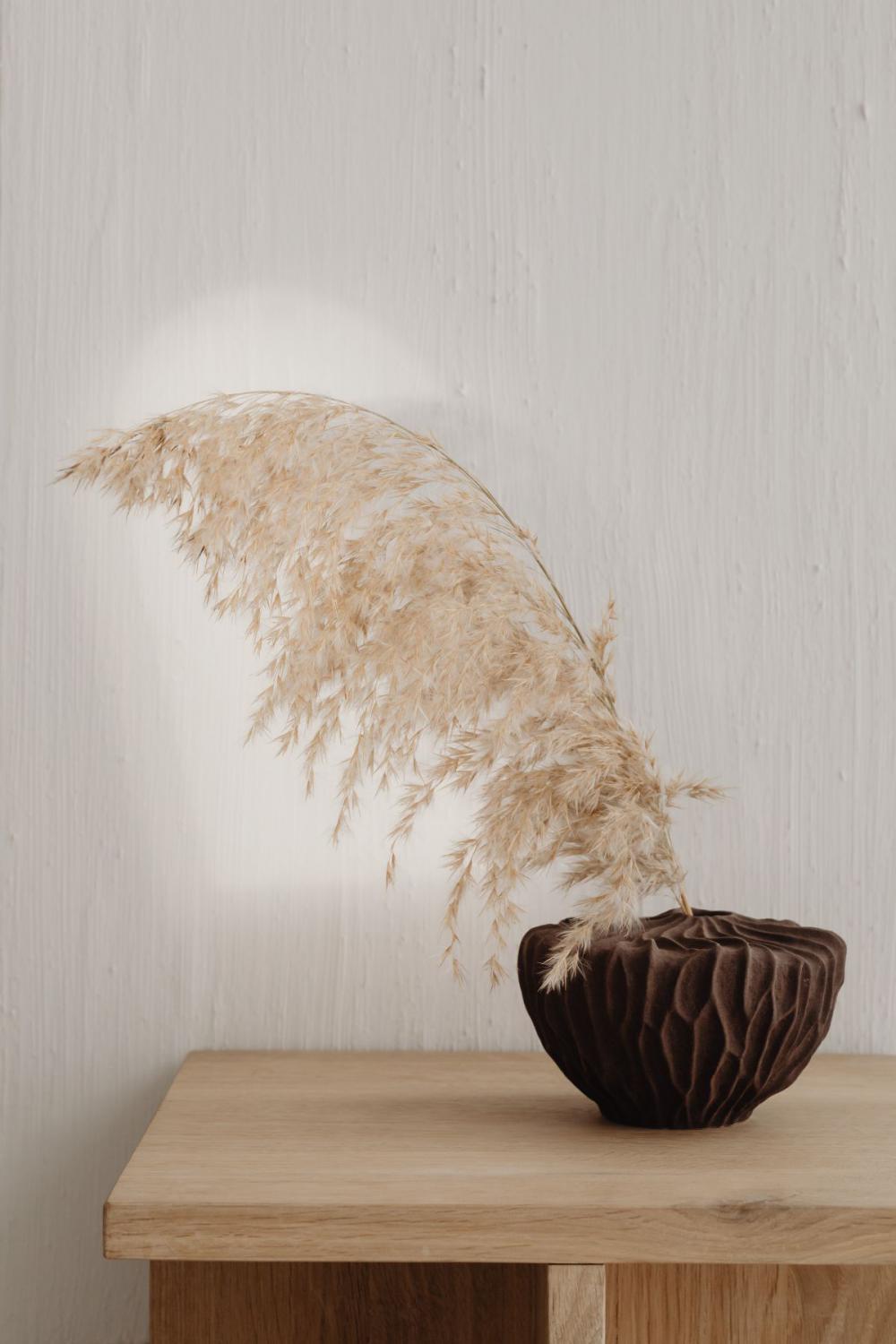 Brown vase with pampas grass Brown vase with pampas grass