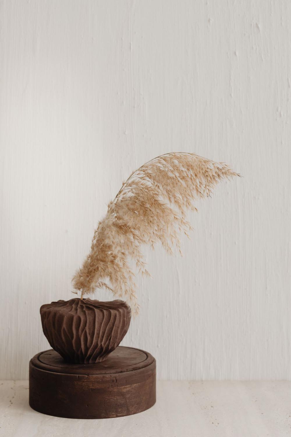 Brown vase with pampas grass Brown vase with pampas grass