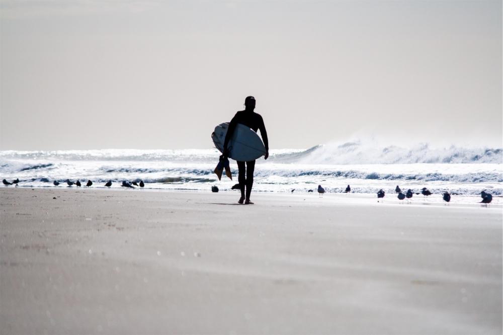 Surfer Surfer