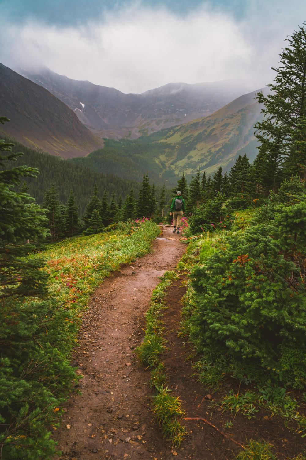 into a Grizzly area into a Grizzly area