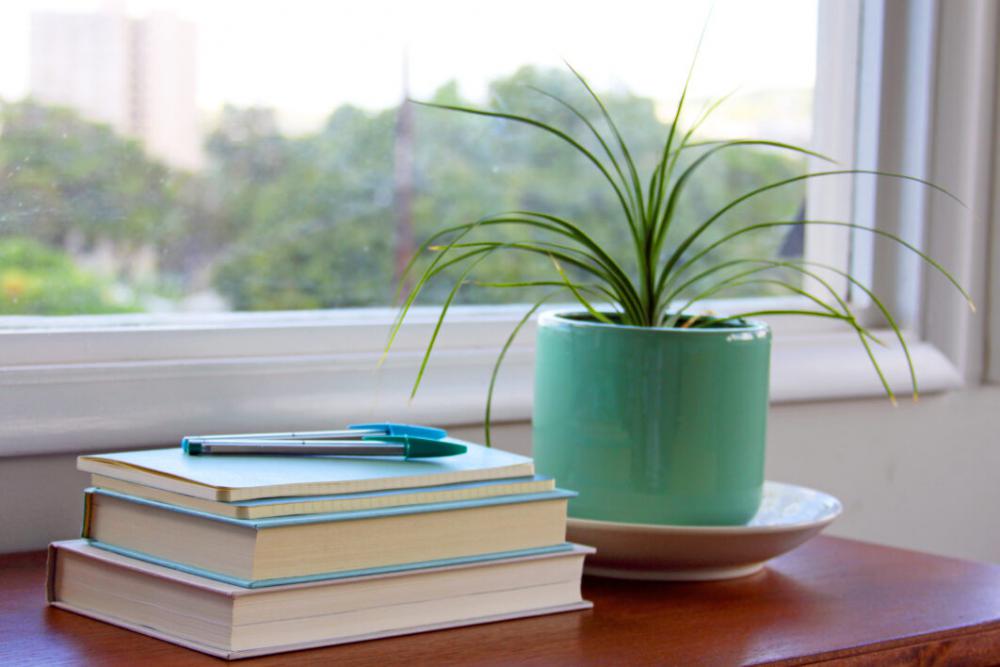 Books Interior Home No Cost Stock Image Books Interior Home No Cost Stock Image