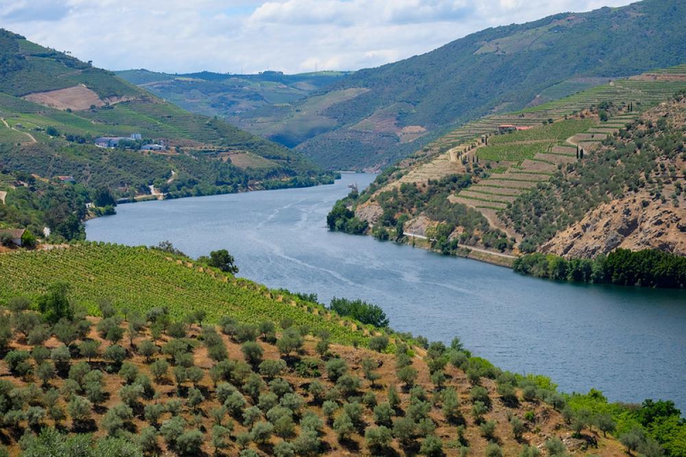 Landscape of Douro Valley Landscape of Douro Valley