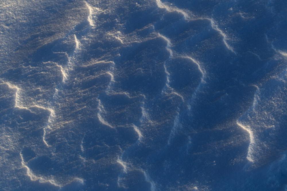 Snow Texture Frozen No Cost Stock Image Snow Texture Frozen No Cost Stock Image