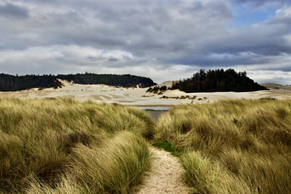 Grassy Landscape Coast Free Stock Photo Grassy Landscape Coast Free Stock Photo