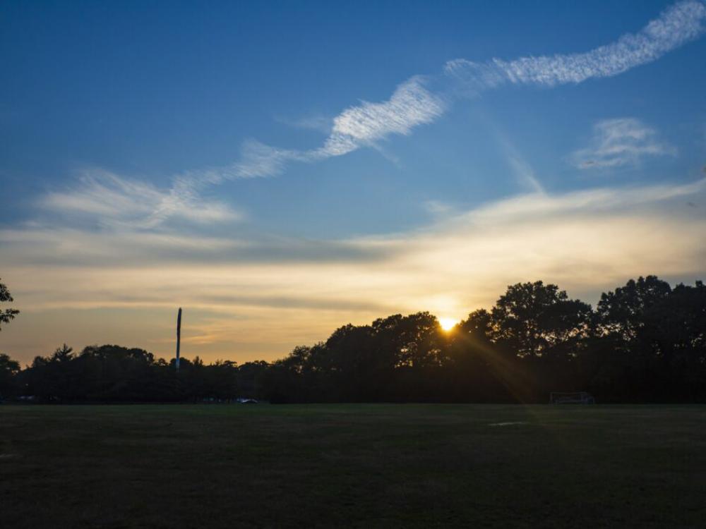 Sunset Trees Landscape Free Stock Photo Sunset Trees Landscape Free Stock Photo