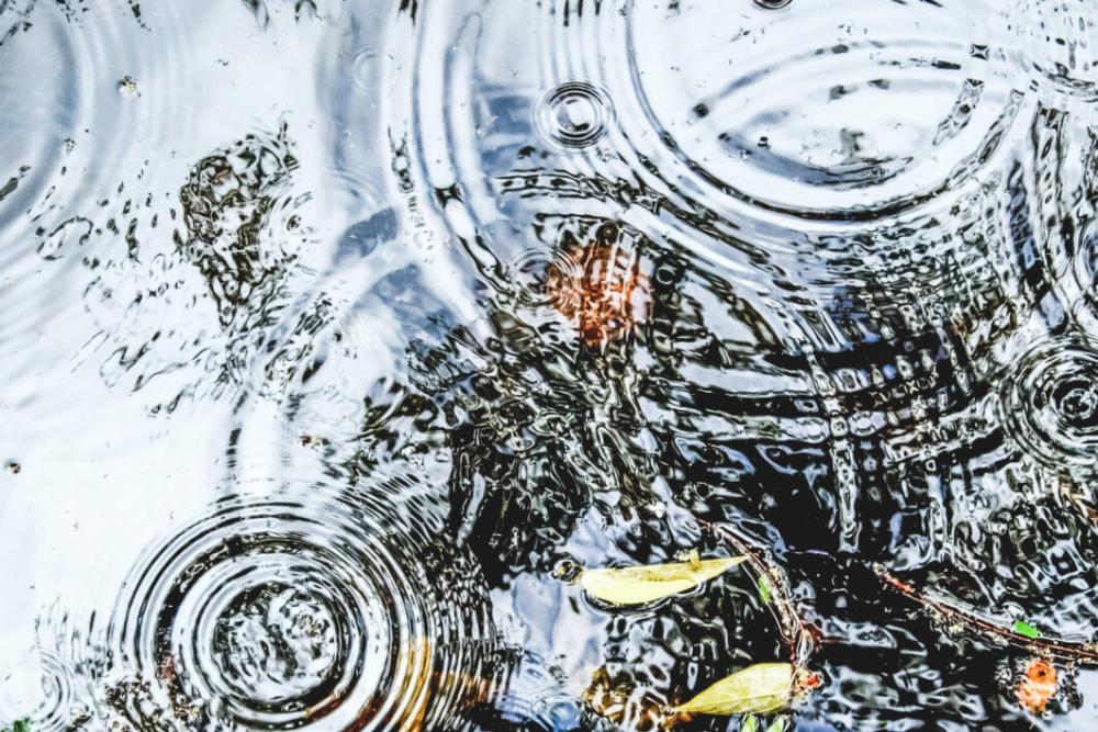Puddle Water Reflection Free Stock Photo Puddle Water Reflection Free Stock Photo
