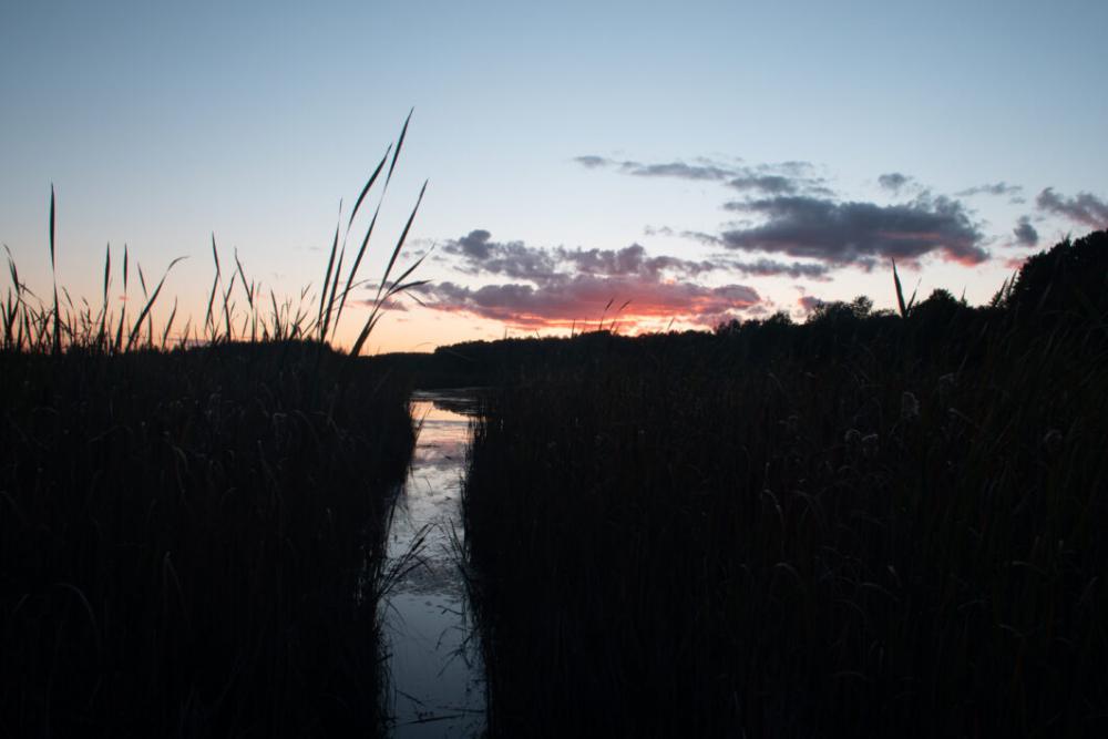 Sunset Horizon Landscape Free Stock Photo Sunset Horizon Landscape Free Stock Photo