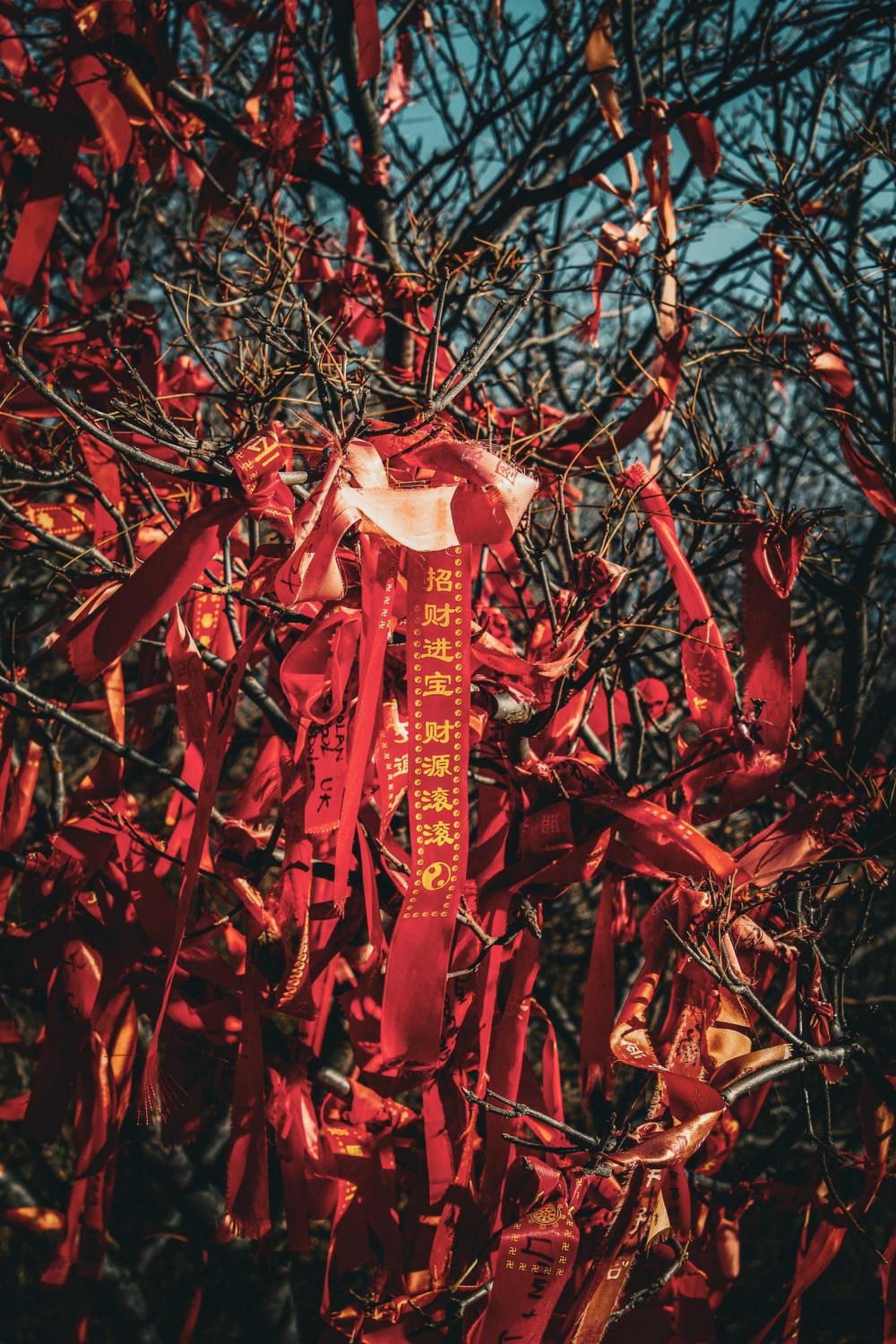 Red ribbon Red ribbon