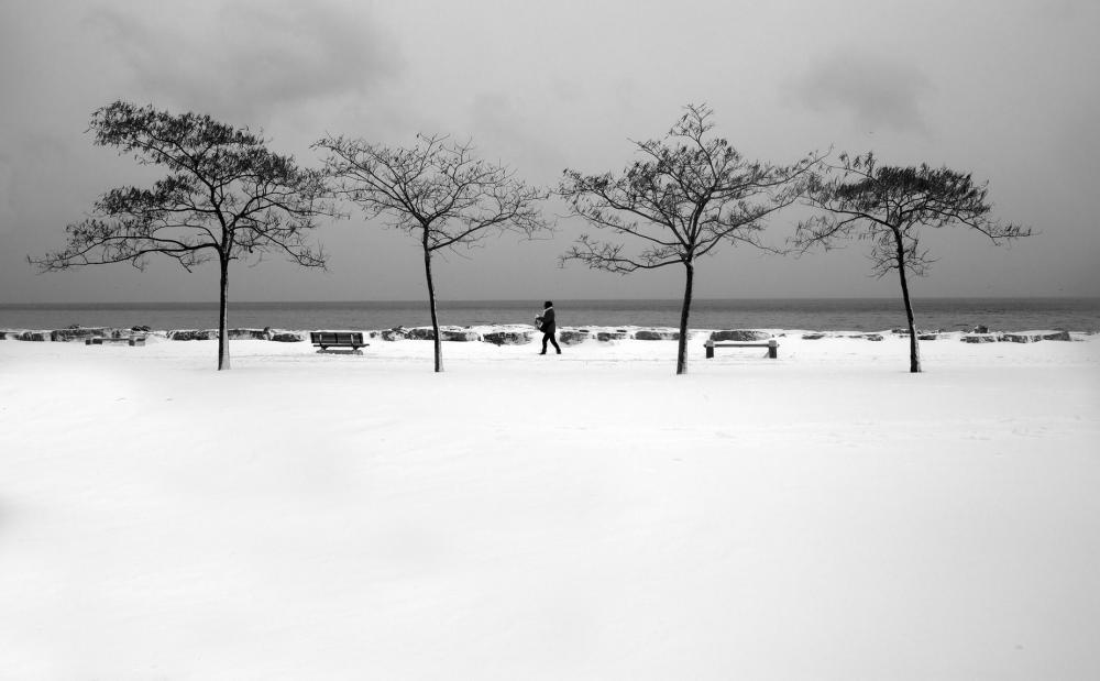 Four Trees And A Person Standing In The Middle Photo Four Trees And A Person Standing In The Middle Photo