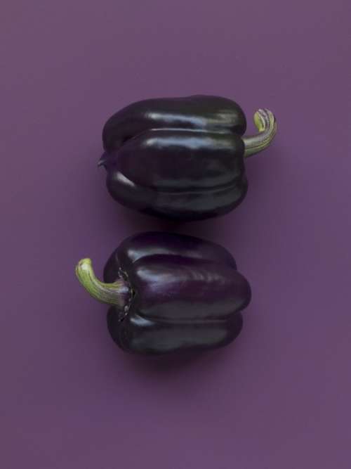Purple capsicum