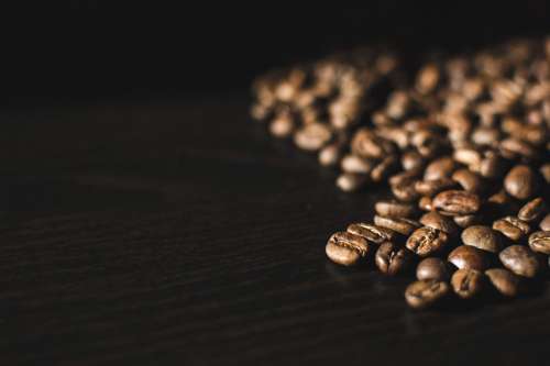 Coffee beans close up