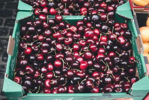 Dark red cherries