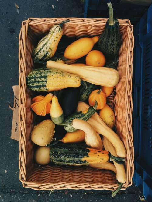 Decorative pumpkins at farmers market