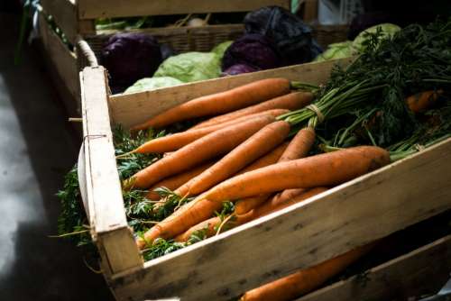Fresh carrots at farmers market
