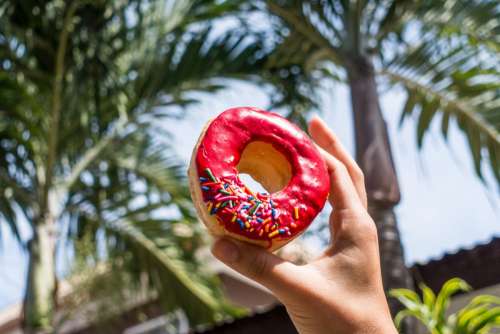 Holding donut near palm trees