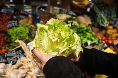 Holding lettuce in a grocery store