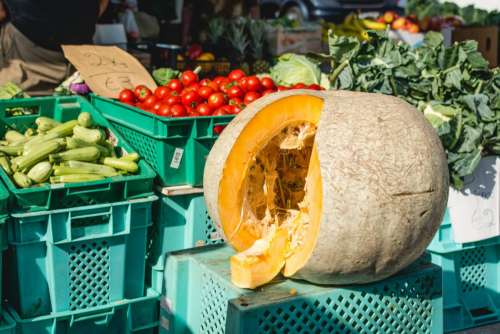 Huge pumpkin on a market